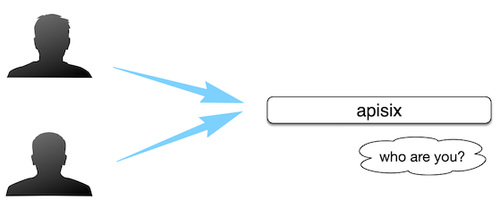 /KNEL/KNELProductionContainers/raw/commit/6acfe24403b747015a234933993ec45db4ca1f68/CloudronPackages/APISIX/apisix-source/docs/assets/images/consumer-who.png